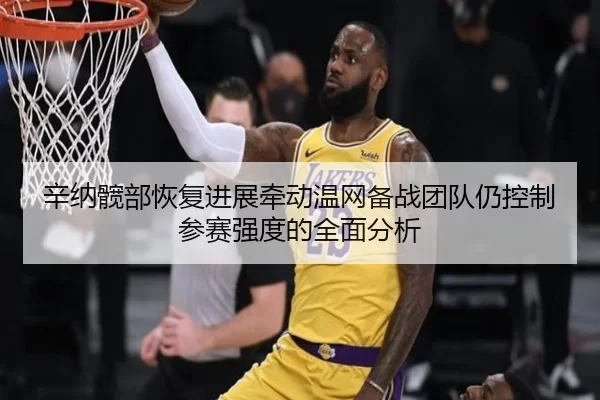辛纳髋部恢复进展牵动温网备战团队仍控制参赛强度的全面分析